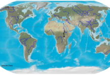 Where do the Main and Rhine rivers meet? Where do the Main and Rhine rivers meet?