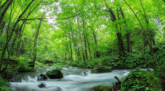 Where do you fly into for skiing in Japan? Where do you fly into for skiing in Japan?