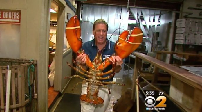 Where does Justin live? Where does Justin live?