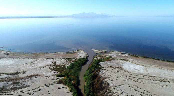 Where does the Boyne enter the sea? Where does the Boyne enter the sea?