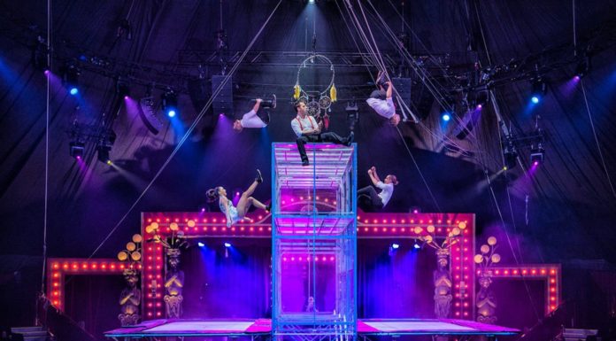 Where does the Moscow Circus originate? Where does the Moscow Circus originate?