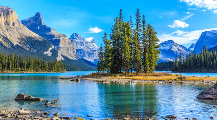 Where is Canada’s largest art collection? Where is Canada's largest art collection?