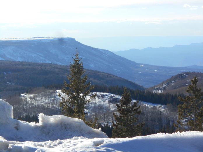 Where is the Blue Mesa trail?