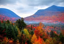 Where is the best place to go in Canada for Christmas? Where is the best place to go in Canada for Christmas?