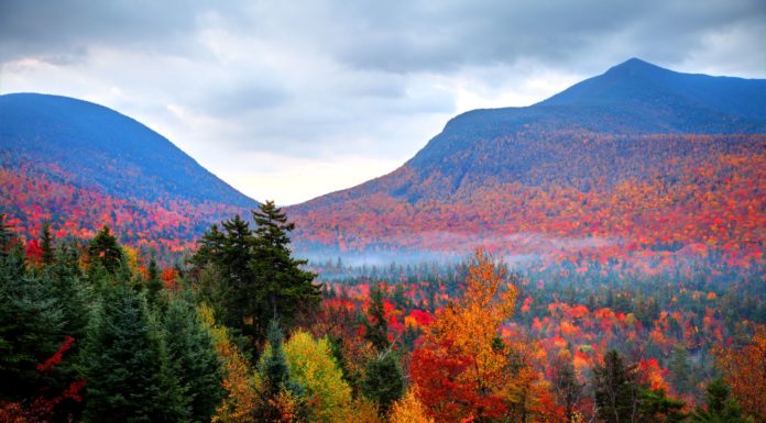 Where is the best place to go in Canada for Christmas? Where is the best place to go in Canada for Christmas?