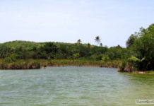 Where is the glowing water in Puerto Rico? Where is the glowing water in Puerto Rico?
