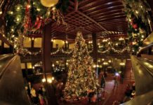 Where is the most magical place to spend Christmas? Where is the most magical place to spend Christmas?