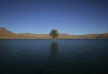 Where is the world’s largest lazy river? Where is the world's largest lazy river?