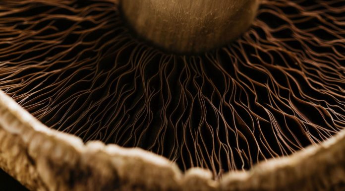 Where is warmest in May? Where is warmest in May?