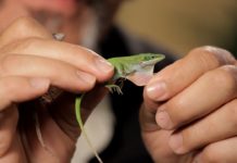 Where should I ski if I live in Florida? Where should I ski if I live in Florida?