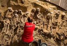 Where the bones of plague victims are buried in Paris? Where the bones of plague victims are buried in Paris?