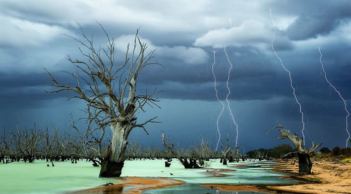 Which Australian city has the most murders? Which Australian city has the most murders?