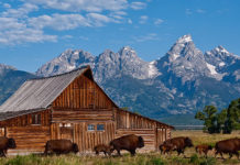 Which Yellowstone entrance is closest to Salt Lake City? Which Yellowstone entrance is closest to Salt Lake City?