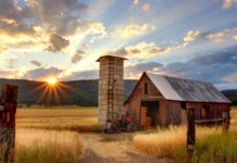 Which country has tastiest food? Which country has tastiest food?