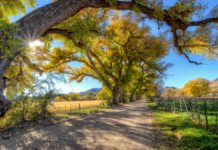 Which country is iPhone cheapest? Which country is iPhone cheapest?