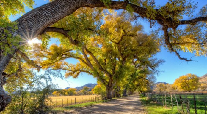 Which country is iPhone cheapest? Which country is iPhone cheapest?