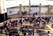 Which domestic flights are operating? Which domestic flights are operating?