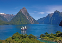 Which is better North or South Island NZ? Which is better North or South Island NZ?