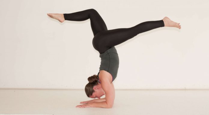 Which is better Vinyasa or Ashtanga? Which is better Vinyasa or Ashtanga?