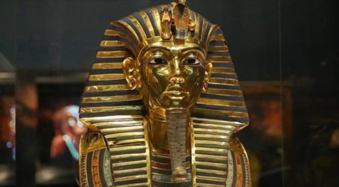 Which museum has the best Egyptian exhibit? Which museum has the best Egyptian exhibit?