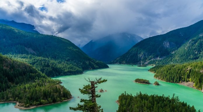Which state has the most springs? Which state has the most springs?