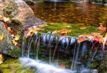 Who designed Butchart Gardens? Who designed Butchart Gardens?