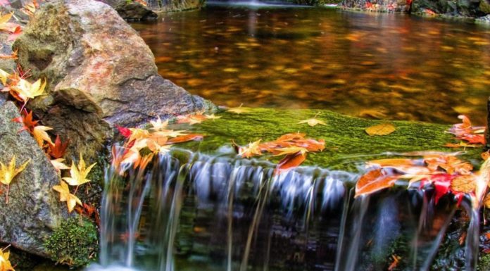 Who designed Butchart Gardens? Who designed Butchart Gardens?