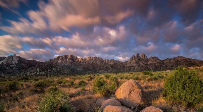 Who named Organ Mountains? Who named Organ Mountains?