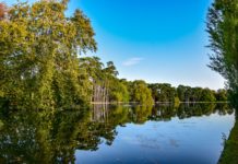 Who owns Central Park? Who owns Central Park?