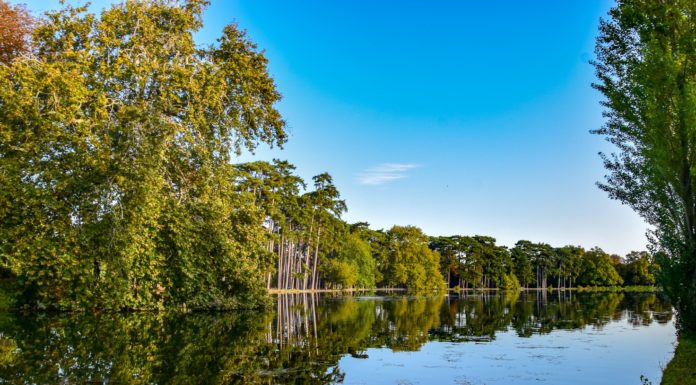 Who owns Central Park? Who owns Central Park?