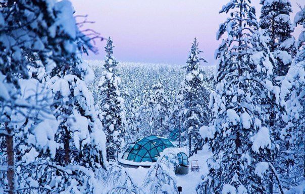 Who owns kakslauttanen? Who owns kakslauttanen?