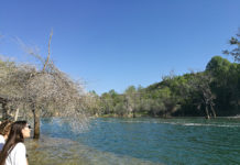 Who visits Mallorca the most? Who visits Mallorca the most?