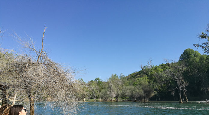 Who visits Mallorca the most? Who visits Mallorca the most?