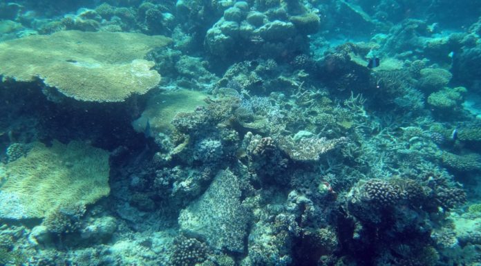 Who was bottom in Brokeback Mountain? Who was bottom in Brokeback Mountain?