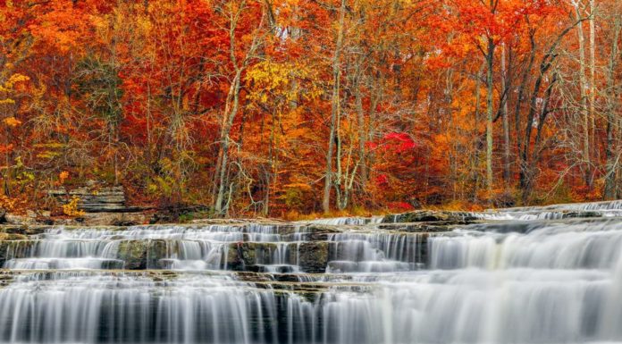 Why Cambodia is the best place to live? Why Cambodia is the best place to live?