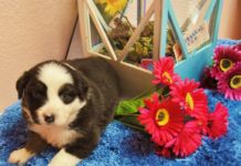 Why are the catacombs filled with bones? Why are the catacombs filled with bones?