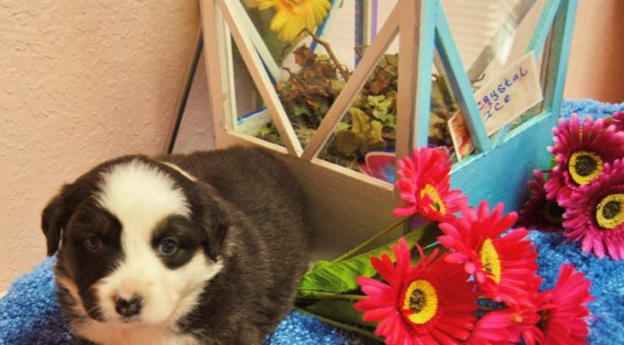 Why are the catacombs filled with bones? Why are the catacombs filled with bones?