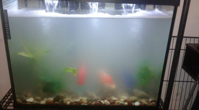 Why is Istanbul so cold? Why is Istanbul so cold?