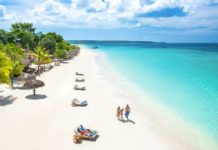 Why is Perfect Blue so confusing? Why is Perfect Blue so confusing?