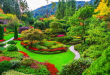 Why is The Butchart Gardens famous? Why is The Butchart Gardens famous?