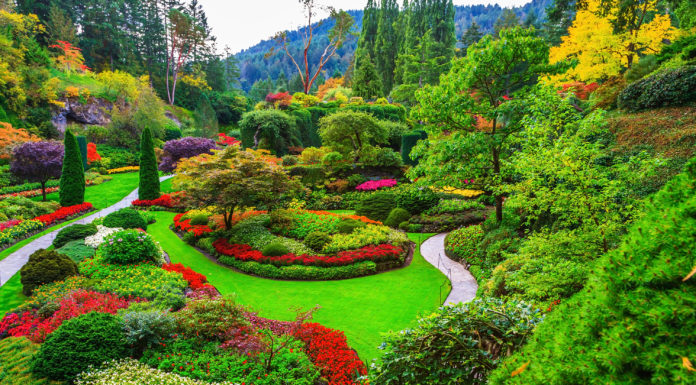 Why is The Butchart Gardens famous? Why is The Butchart Gardens famous?