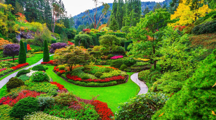 Why is The Butchart Gardens famous?