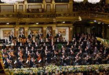 Will there be a New Years Day concert in Vienna 2021? Will there be a New Years Day concert in Vienna 2021?