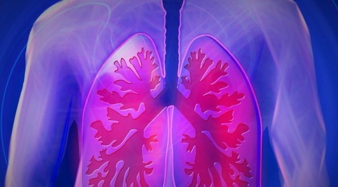 ¿Cuáles son las características de Ciudad Obregón? ¿Cuáles son las características de Ciudad Obregón?