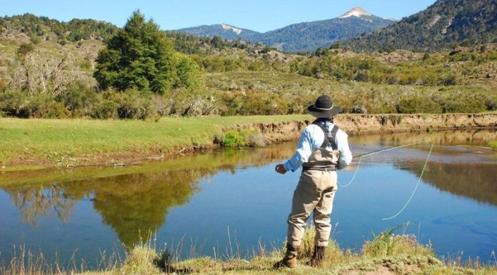 ¿Cuándo empieza la temporada de pesca en río? ¿Cuándo empieza la temporada de pesca en río?