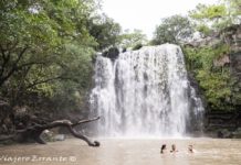 ¿Dónde se ubican los llanos del Orinoco? ¿Dónde se ubican los llanos del Orinoco?