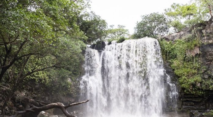 ¿Dónde se ubican los llanos del Orinoco? ¿Dónde se ubican los llanos del Orinoco?