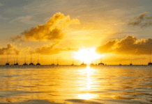 Quelle Est La Meilleure Période Pour Aller En Martinique?