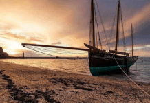 Quelles Sont Les Meilleures Huîtres En France?