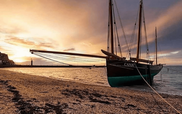 Quelles Sont Les Meilleures Huîtres En France?